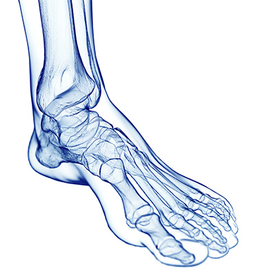 Foot and Ankle xray image